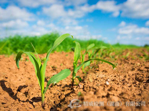 土壤、底泥和固體廢棄物檢測